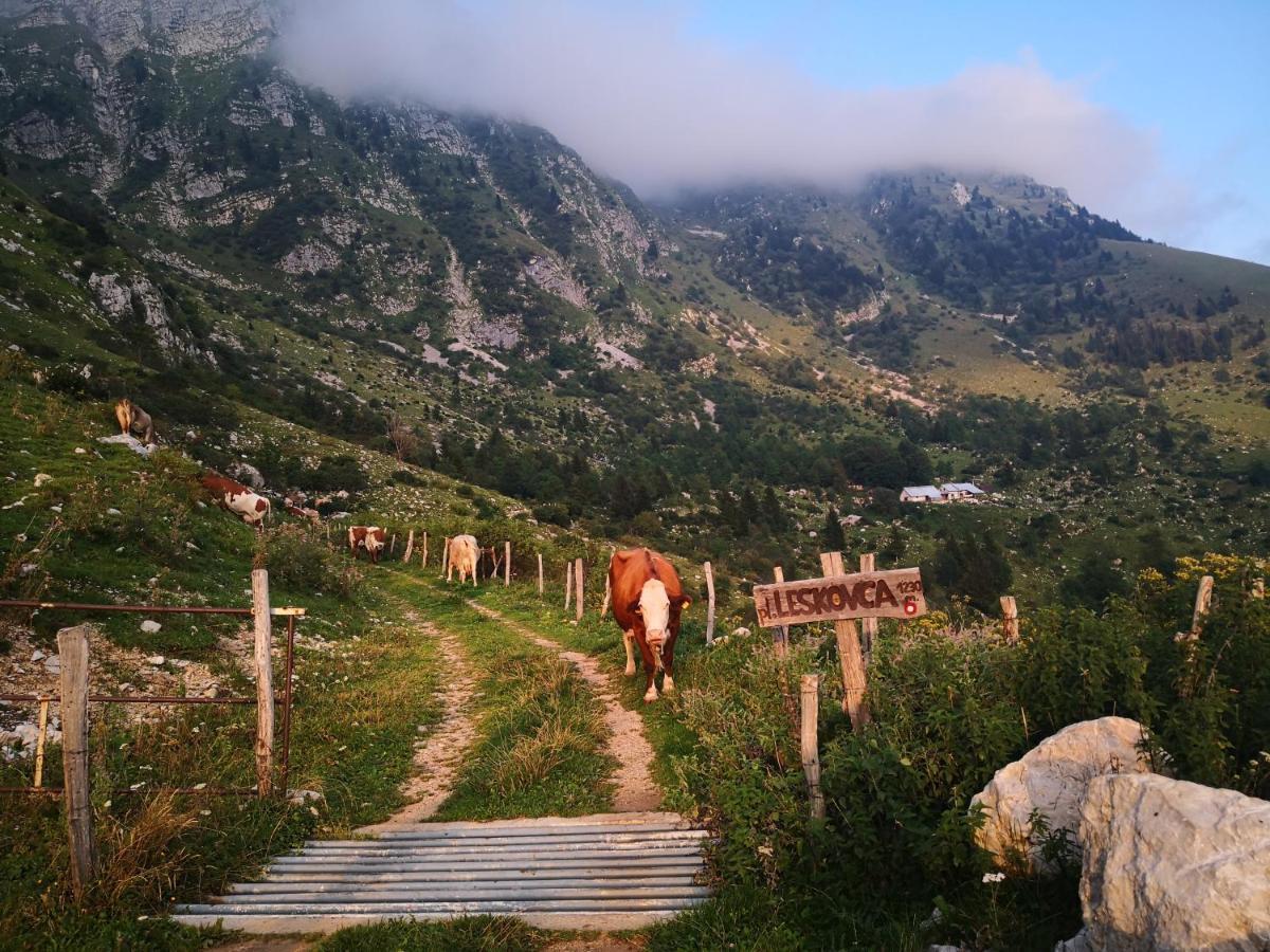 Mountain Lodge Forte Emilia 科巴里德 外观 照片
